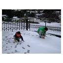 本日雪！