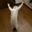 12月27日の日記