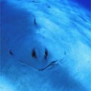 ざんばらばらばら