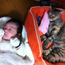 2010年、お世話になりました。