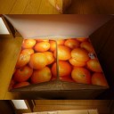 オレンジレンジ