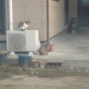 仕事初め