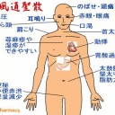 見ます　聞きます　言います