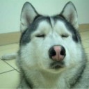 1月8日の日記