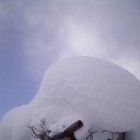 2011年1月9日（日）