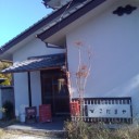 ひさしぶりのこだまや訪問