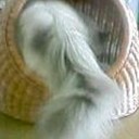 消えた・・・