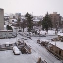 とりあえず　雪のため
