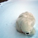 結果良ければ全て良し　“春の小動物現る！”　の巻