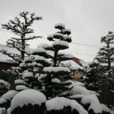 ３年ぶりの大雪