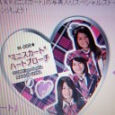 ＡＫＢ４８ユニット ミニスカート スペシャルストーン キャンペーン
