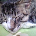 みーみ101日目
