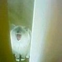ためして・・・