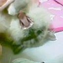ためして・・・