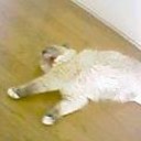 ためして・・・