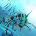半年ぶりのＦＮＭ