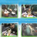 HARO子復活！　“うちは不動物復活再生所”　の巻