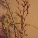 気が早いけど…