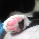 みーみ110日目