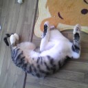 みーみ111日目