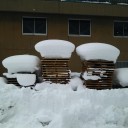 助さん格さんもういいでしょう