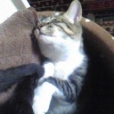 みーみ113日目