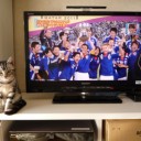 一日中サッカー