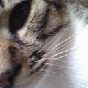 みーみ116日目