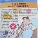 恋人と友達の違い