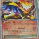 …に挑戦！