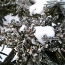 2011年2月6日（日）