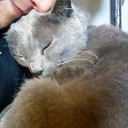 デリカシーがなく愚かしい　“ハイドっ娘、世にはばかる”　の巻