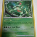 ここがすごいよ！アメリカのポケモンカード