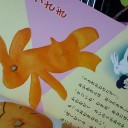 うさぎがむけたわ