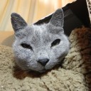 がうがうだっていいじゃないか　“がうがうだもの”　の巻