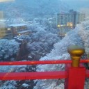 日光・鬼怒川って西村京太郎の世界だよね