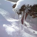 2011年2月12日（土）