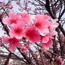 本当は俺も・・・(^O^)