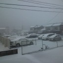 プラチナ｢雪の中‥‥こんな軽装で‥無理しすぎた‥か‥も｣