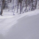 シガは雪が積もってます