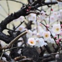 月曜〓自転車とインストールと〓