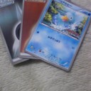 プロモパック回収開始