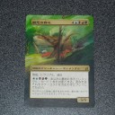 [MTG]概念の群れ