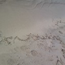miss you