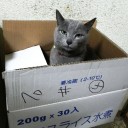 何を食べても美味しくて痩せない　“料理好きな自分を呪う”　の巻