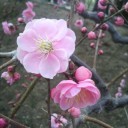 今日は遠足です。