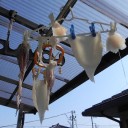 甘えん坊の賞味期限　“無責任でも無計画でもなく”　の巻