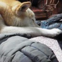 昨日の立ち読み