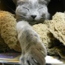 猛烈ぐずぐずでぐだぐだ　“それでも明けない夜はない”　の巻