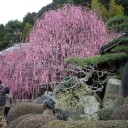 諸々の話（3/6）